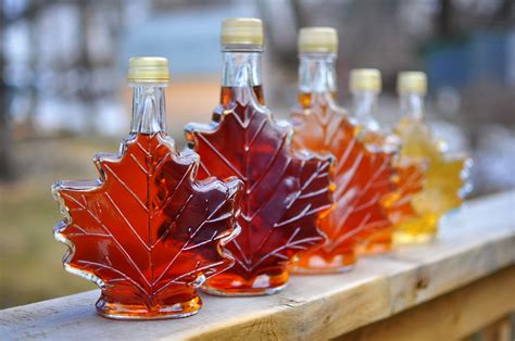 Seek out the sweet stuff during N.E.’s maple syrup season